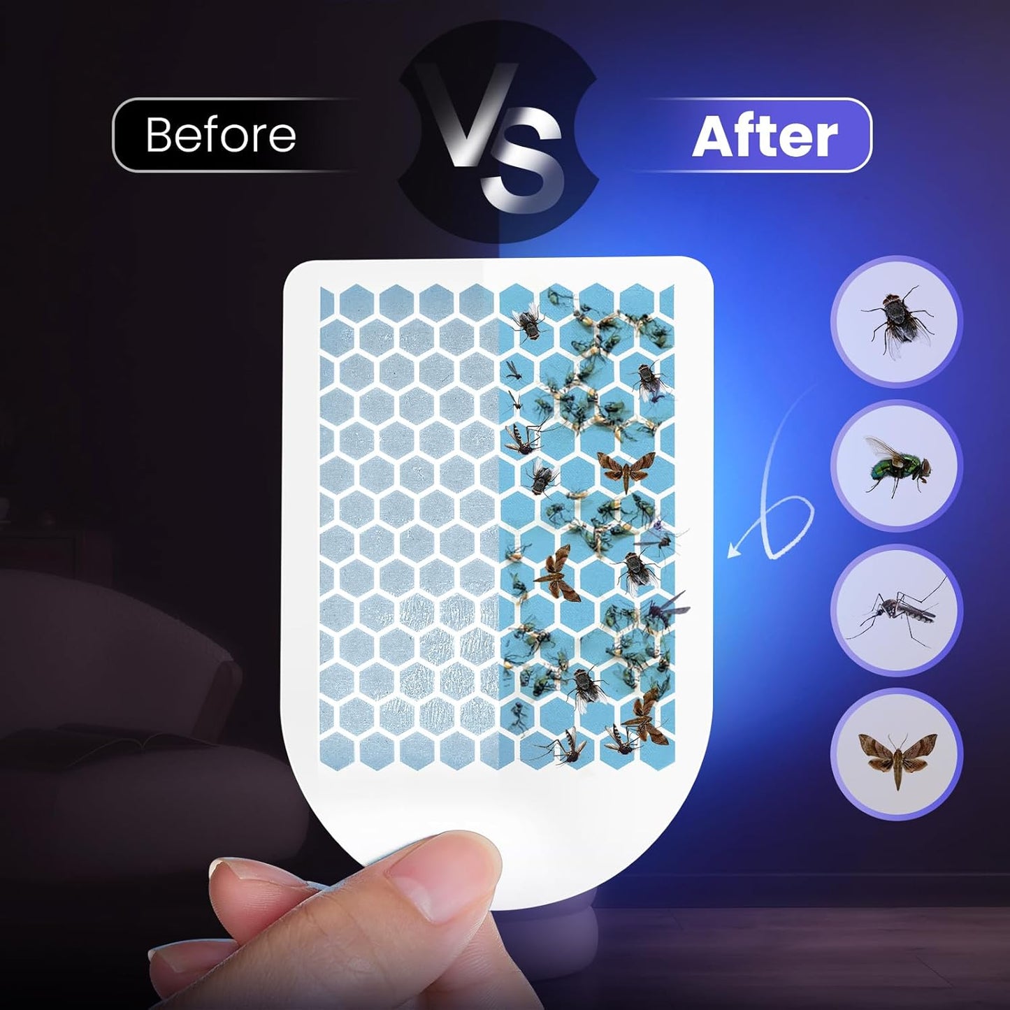 Fly Trap Indoor for Home, Plug-In Flying Insect Trap for Flies, Fruit Flies, Moths, Gnats, Mosquito Killer Insect Catcher Fly Tapper with 3 Refill Glue Cards for Home Office