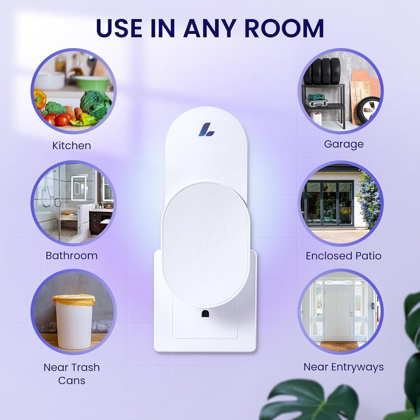 Fly Trap Indoor for Home, Plug-In Flying Insect Trap for Flies, Fruit Flies, Moths, Gnats, Mosquito Killer Insect Catcher Fly Tapper with 3 Refill Glue Cards for Home Office