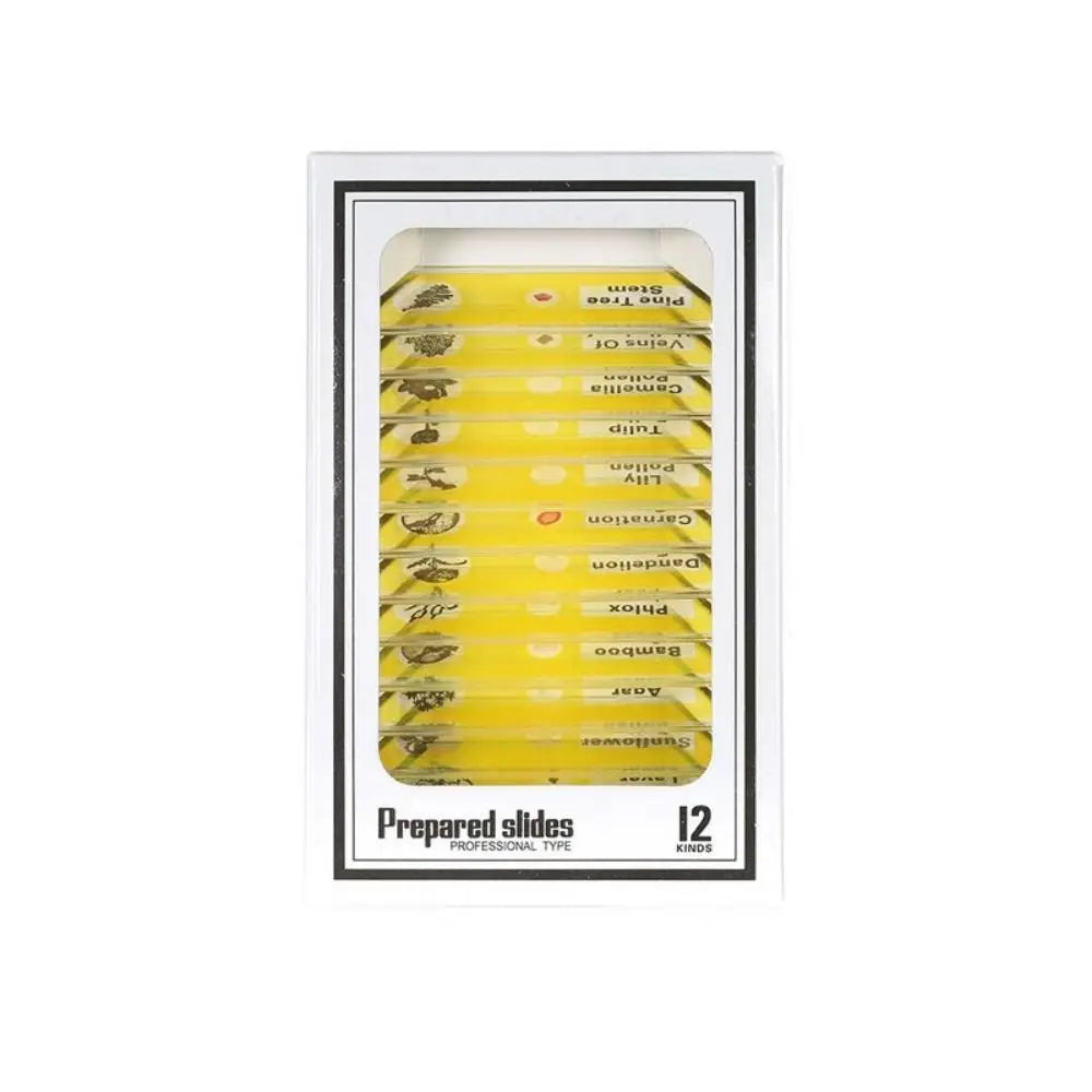 Plastic Microscope Slides Sample Specimens Animals Insects Plants Flowers Microscope Sample Prepared Slides Multicolor Kids