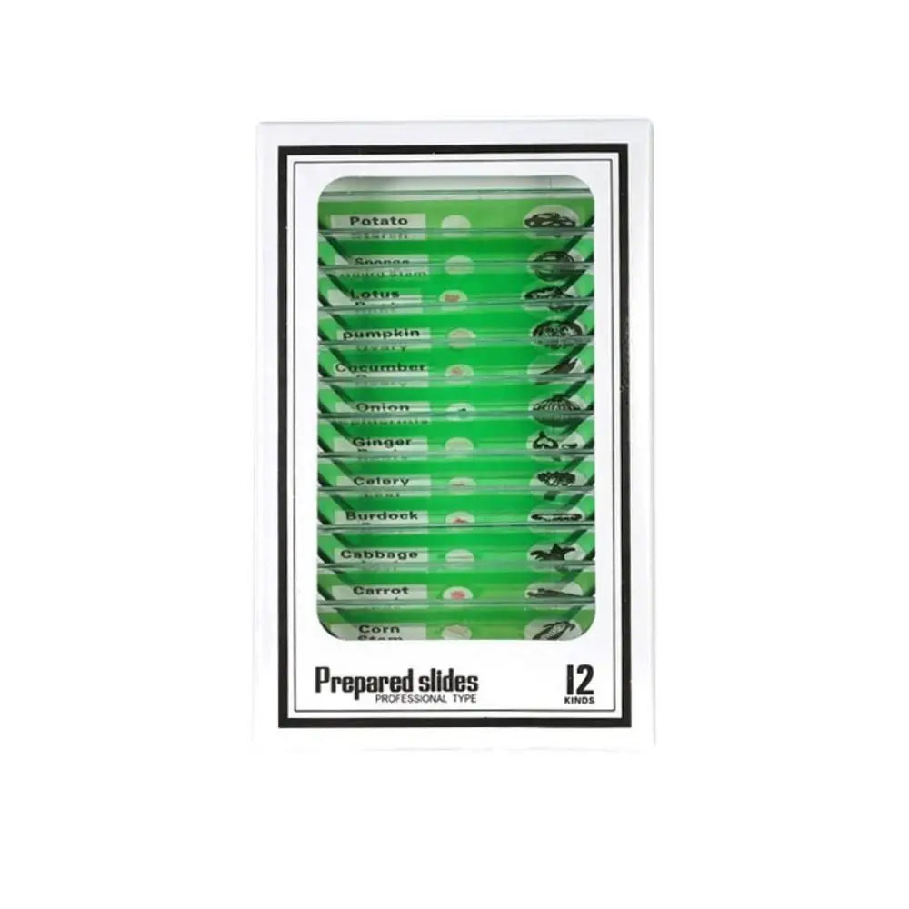 Plastic Microscope Slides Sample Specimens Animals Insects Plants Flowers Microscope Sample Prepared Slides Multicolor Kids