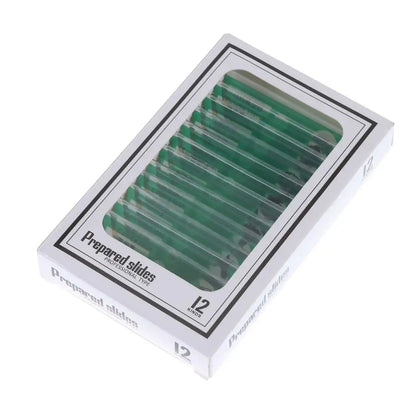 Plastic Microscope Slides Sample Specimens Animals Insects Plants Flowers Microscope Sample Prepared Slides Multicolor Kids