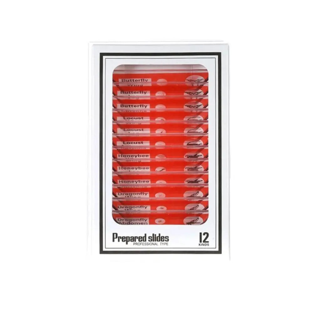 Plastic Microscope Slides Sample Specimens Animals Insects Plants Flowers Microscope Sample Prepared Slides Multicolor Kids