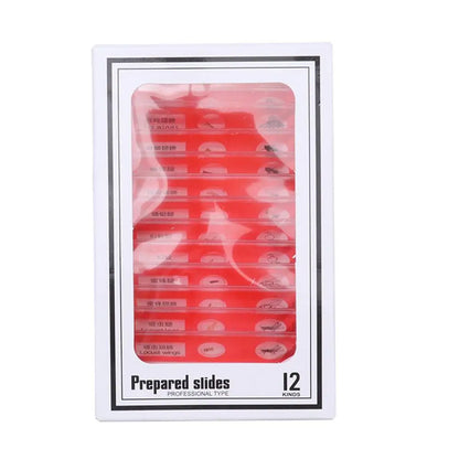 Plastic Microscope Slides Sample Specimens Animals Insects Plants Flowers Microscope Sample Prepared Slides Multicolor Kids