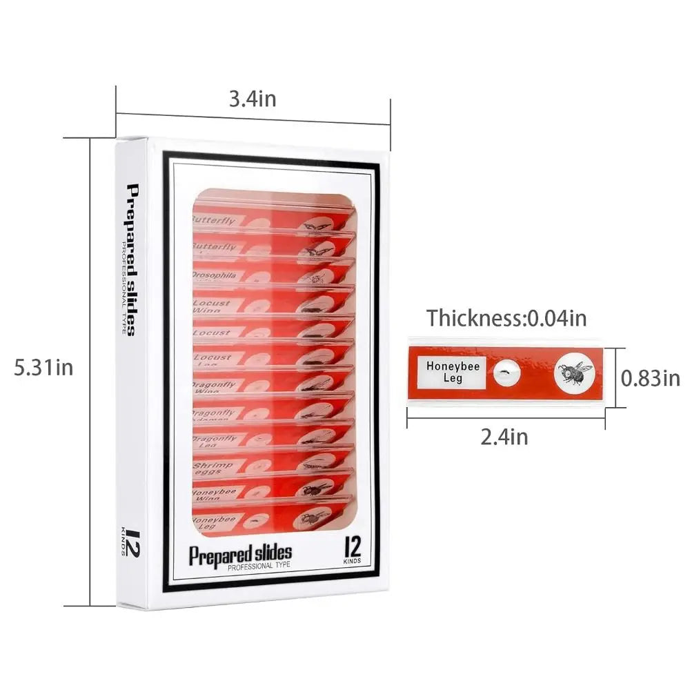 Plastic Microscope Slides Sample Specimens Animals Insects Plants Flowers Microscope Sample Prepared Slides Multicolor Kids