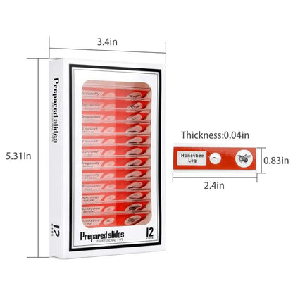 Plastic Microscope Slides Sample Specimens Animals Insects Plants Flowers Microscope Sample Prepared Slides Multicolor Kids