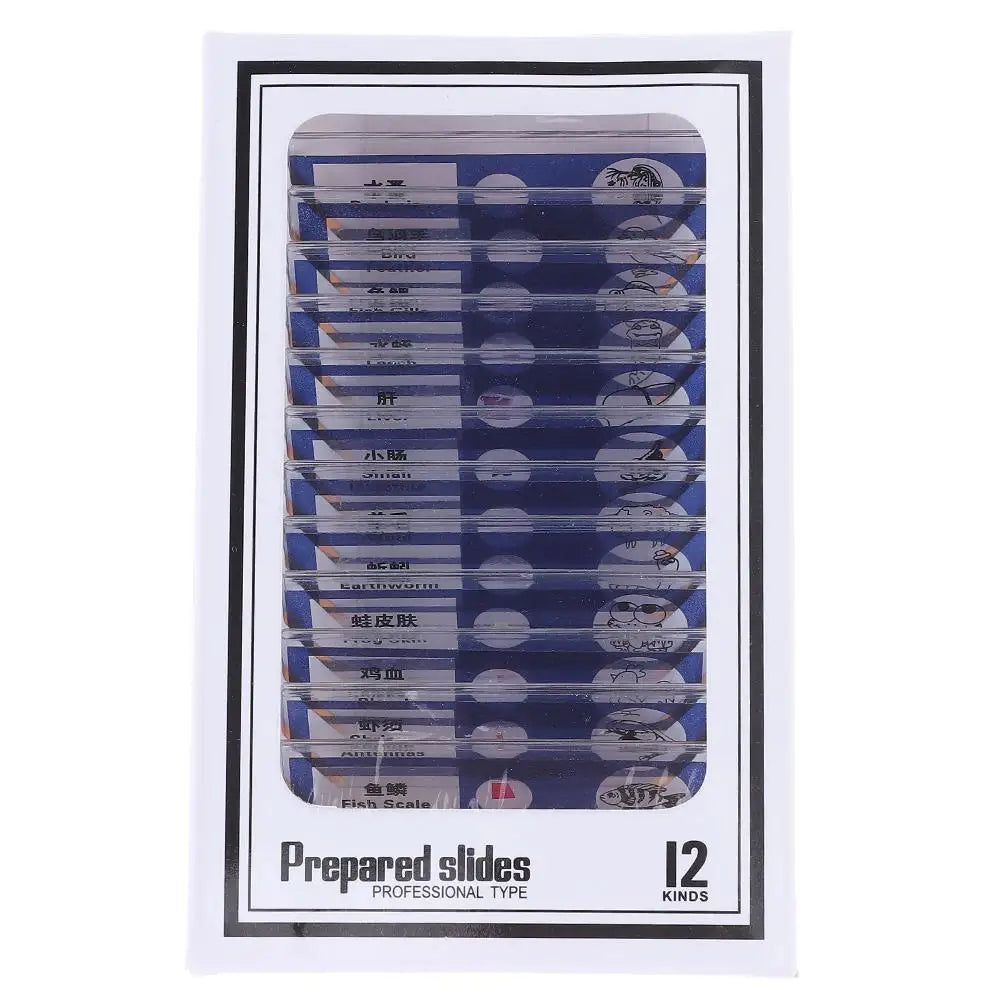 Plastic Microscope Slides Sample Specimens Animals Insects Plants Flowers Microscope Sample Prepared Slides Multicolor Kids