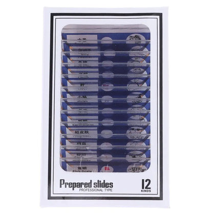 Plastic Microscope Slides Sample Specimens Animals Insects Plants Flowers Microscope Sample Prepared Slides Multicolor Kids