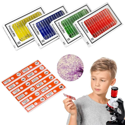 Plastic Microscope Slides Sample Specimens Animals Insects Plants Flowers Microscope Sample Prepared Slides Multicolor Kids