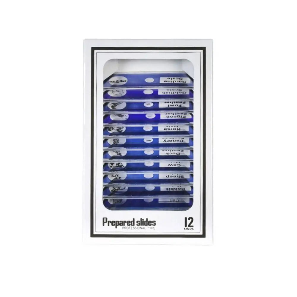 Plastic Microscope Slides Sample Specimens Animals Insects Plants Flowers Microscope Sample Prepared Slides Multicolor Kids